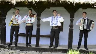 Ionut Borota - Dragostea mancao ar  focu | by Formatia Etno