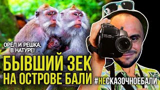 НЕСКАЗОЧНОЕ БАЛИ / УБУД / ОБЕЗЬЯНЫ