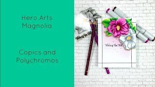 Hero Arts Magnolia/Copics and Polychromos