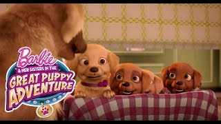 Meet Honey, Rookie, and DJ | Barbie & Her Sisters in a Great Puppy Adventure | Barbie