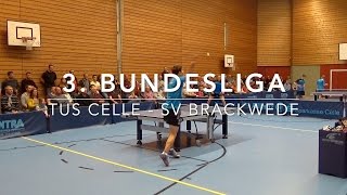 3. Bundesliga Highlights | TuS Celle - SV Brackwede