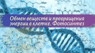 Биология 9 класс Пасечник $8 Обмен веществ и превращения энергии в клетке Фотосинтез кр
