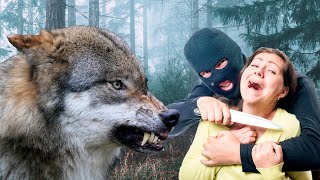 ВОЛК не оставил подонкам никаких шансов. Он встал в стойку, оскалив зубы!