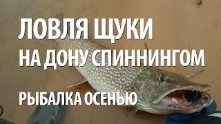 РЫБАЛКА на ДОНУ ОСЕНЬЮ. ЛОВЛЯ ЩУКИ СПИННИНГОМ на ДЖИГ с БЕРЕГА