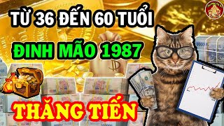 Tiết Lộ Tử Vi Tuổi ĐInh Mão 1987 Tài Lộc Bùng Nổ Càng Già Càng GIàu Tiền Tiêu 5 Đời