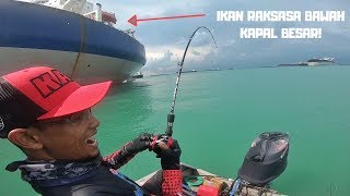 ADA IKAN RAKSASA BAWAH KAPAL BESAR NI!
