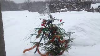 Утро 1 января/Все выжили