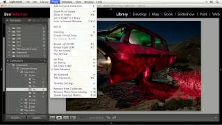 Intermediate Organization - Lightroom Mastery