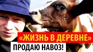 ПРОДАЮ НАВОЗ! Жизнь в деревне