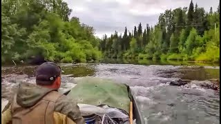 СОРОГА КАК ЛЕЩЬ. ОТЛИЧНЫЙ КЛЕВ И ОТДЫХ. НА ВОДОМЕТЕ ПО ПЕРЕКАТАМ. Реки республики Коми.