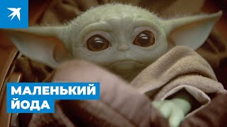 Маленький Йода