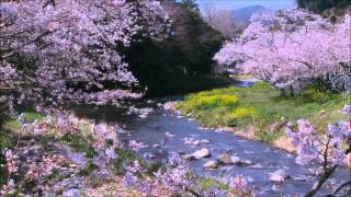 MUSIC BY SRI CHINMOY . FRAGRANCE OF LOVE .  MEDITATION