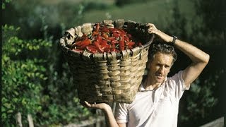 Piment d'Espelette AOC et Gastronomie Basque - Reportage TV