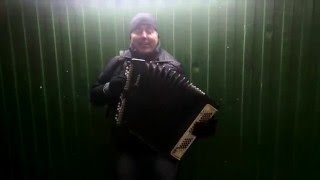 Мне бесконечно жаль (уличный музыкант - баянист)