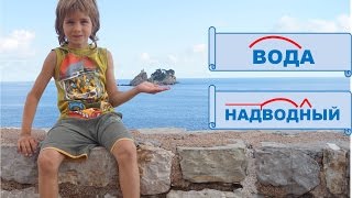 Корень слова.  Русский язык 2 класс.