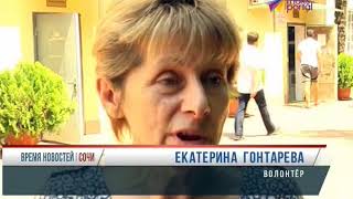 Стерилизация бездомных животных