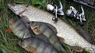 Yamaga Blanks 77/TZ NANO Shimano Stella 14 Bait Breath Saltwater Mosya 2"