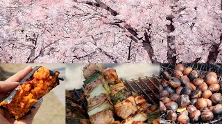 Cherry Blossom Festival & Street Food