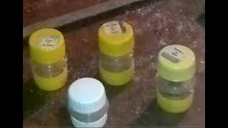интересная идея! Горлышки из ПЭТ бутылок - что можно сделать.