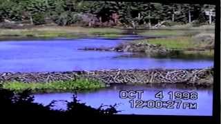 Blasting Beaver Dam