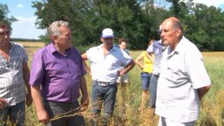 День поля " Донская Нива" июль 2012 год . Часть 2