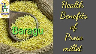 Health benefits of Proso Millet/Baragu