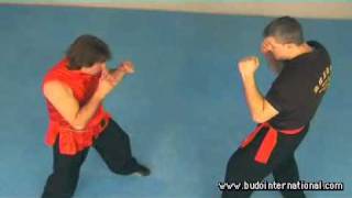 KUNG FU CHIN NA. PAOLO CANGELOSI