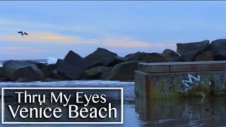 Venice Beach, CA • Thru My Eyes
