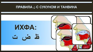 Айман Сувейд. 23. Правила нун с сукуном: ИХФА (примеры для ظ ض ت) (с субтитрами)