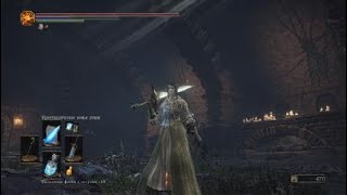 Dark Souls III Хранители Бездны против мага (НГ+, no damage)