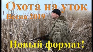Охота на уток - Открытие сезона 2019