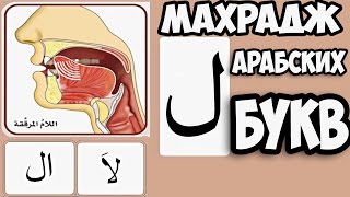 Махрадж  Букв Урок №23 буква "ل" и практика