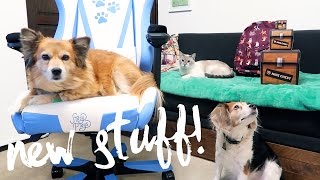 NEW TOYS, NEW CHAIR, NEW MERCH! - MONDAY VLOG