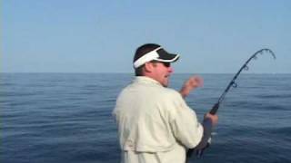 Top Water Tuna Action