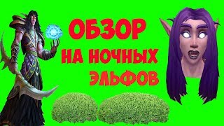 WoW: ОБЗОР НА РАСУ НОЧНЫХ ЭЛЬФОВ