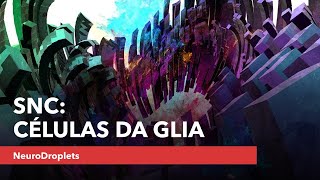 Células da Glia.