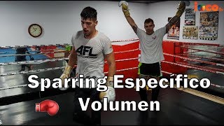 ? SPARRING ? Específico Volumen | Joel Álvarez vs Alberto Tapia Kontact Sport | by ioco Tv