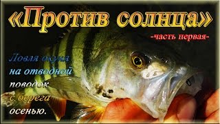 "Против солнца" - часть 1я - Ловля окуня на отводной поводок с берега осенью.