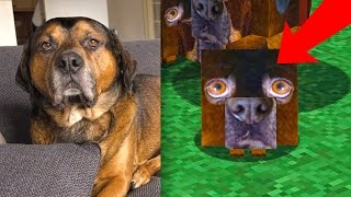 BUMPER IN MINECRAFT! - Minecraft Survival #214