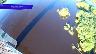 Сводка. Загрязнение Пижмы, замор рыбы. Место происшествия 14.08.2017