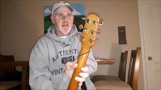 Walden Natura D550 Acoustic Review