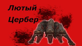 ивент Лютый Цербер в мобильной игре Dragon nest m, обозреваем прохождение