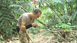 The bamboo fire saw