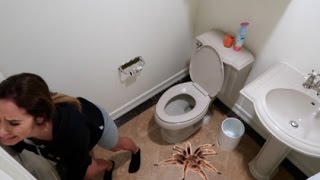 TERRIFYING REAL TARANTULA PRANK ON GIRLFRIEND!!!