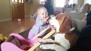 Gentle and patient Dog Plays With Annoying Baby