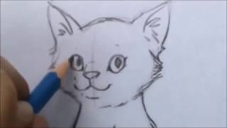 Как нарисовать кошку