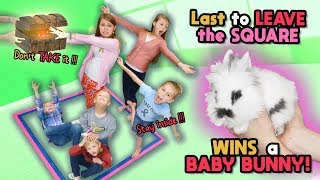 Last To Leave The SQUARE WINS Cute BABY BUNNY! Tannerites Last To Leave Game!