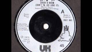 Chick-A-Boom (Don't Ya Jes Love It) - 53rd & 3rd featuring the Sound of Shag