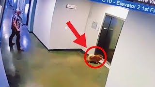 SMYCZ UTKNĘŁA w WINDZIE, potem stało się coś NIESAMOWITEGO