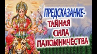 Вайрагья ВИДЕЛ СУТЬ паломничества, Вриндаван, места силы, парикрама!